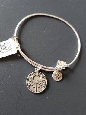 Alex and Ani (+) Energy Power of Unity Bracelet 718